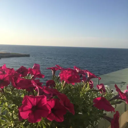 Fly On The Sea Monopoli