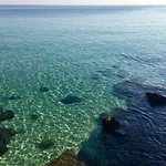 Fly On The Sea