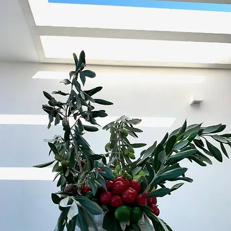 Fly On The Sea Lejlighed Monopoli