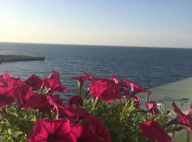 Fly On The Sea Monopoli