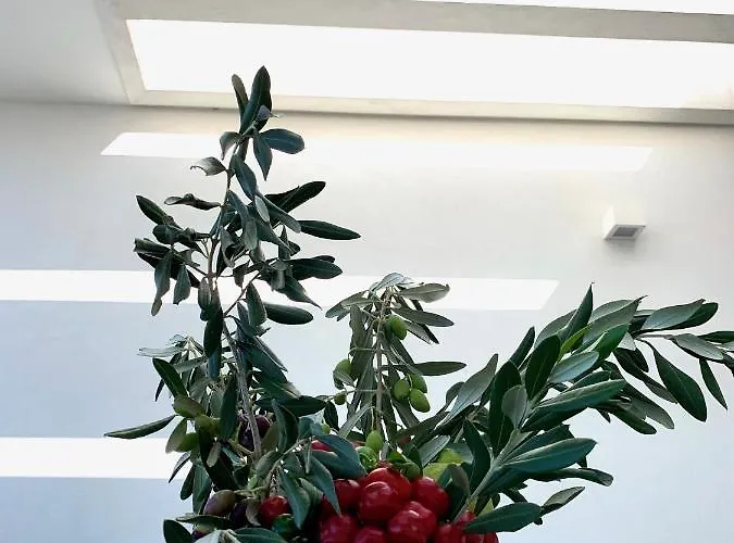 Fly On The Sea Apartamento Monopoli